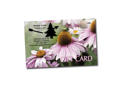 At the Nursery Gift Card