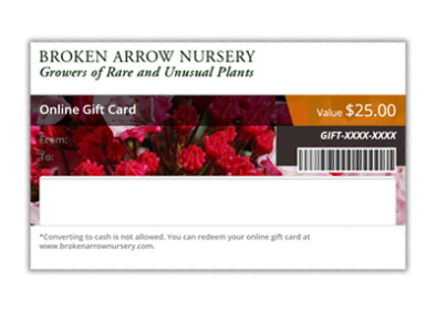 Online Gift Card