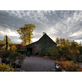July 22nd, 2026 "Plant Tour: Evenings in the Garden"  7-8PM 