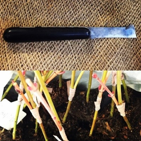 March 2nd, 2026 "Grafting for the Home Gardener" - Monday 1PM-4PM