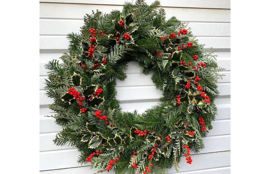 Variegated Holly