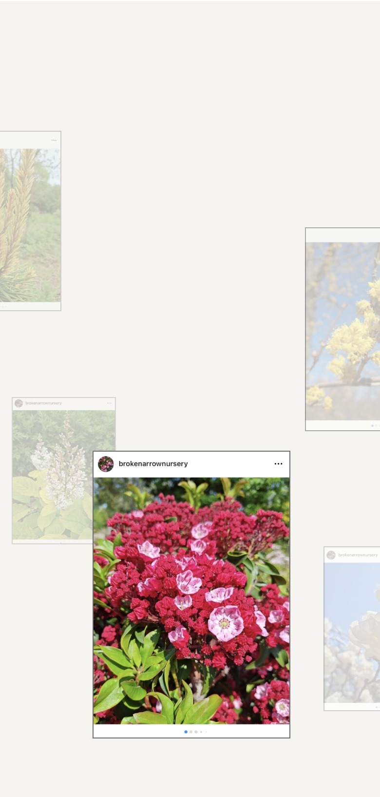 instagram mobile banner
