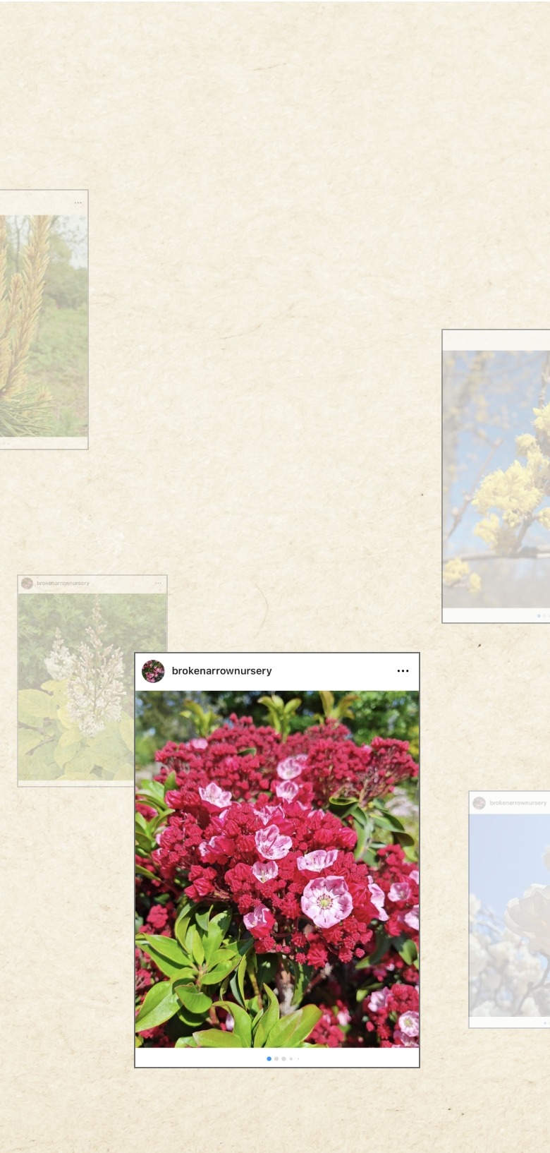 instagram mobile banner