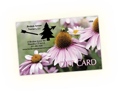 Gift Card Order Now!
